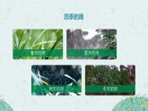 第3课《雨的四季》课件-2025-2026学年七年级语文上册同步备课精选课件（统编版2024）