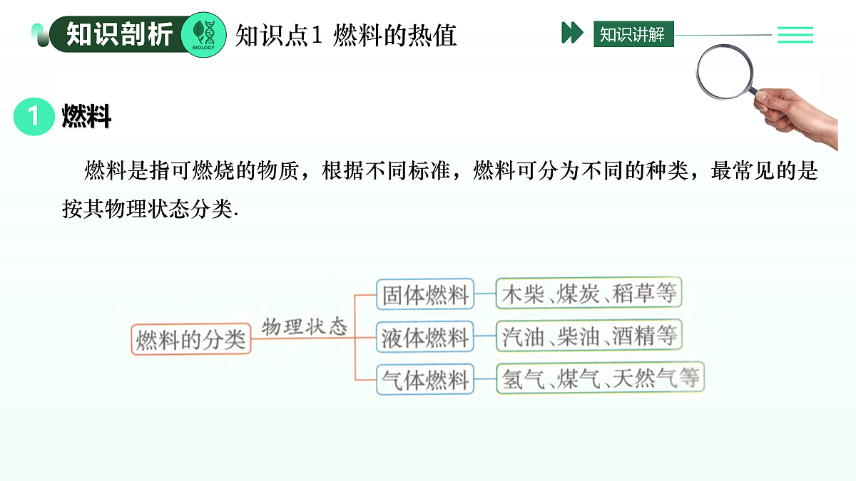 17409144第3页