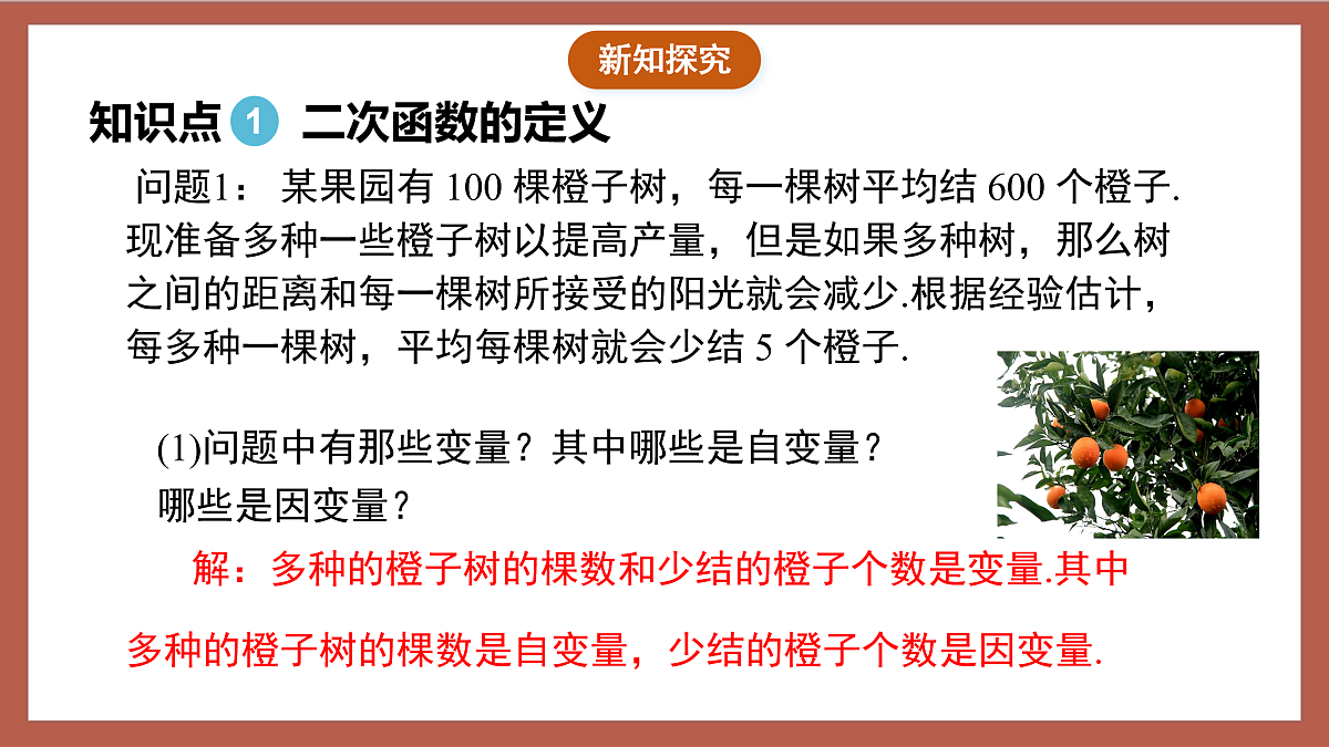 17409251第5页