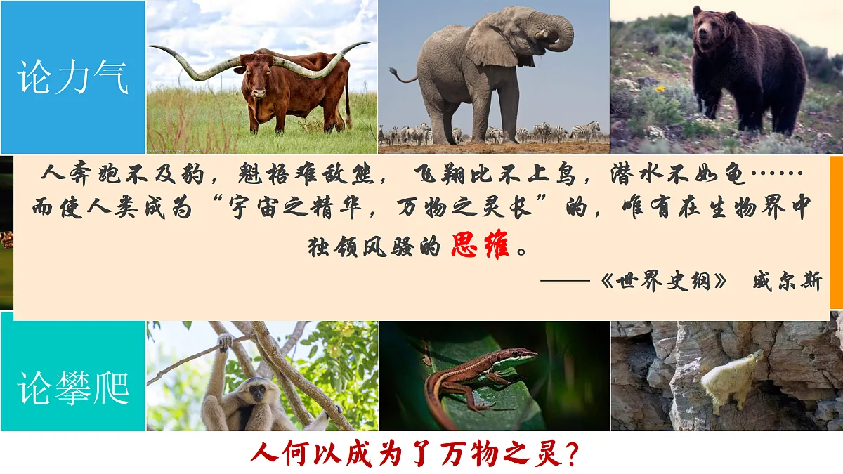 17409346第4页