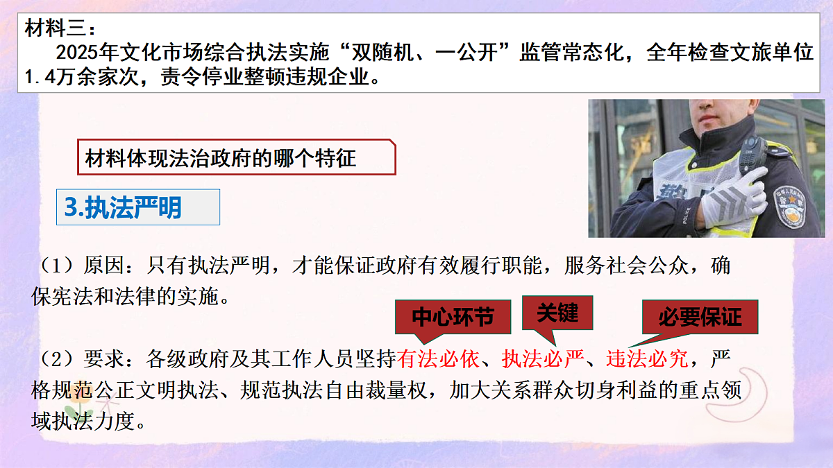 17409373第8页