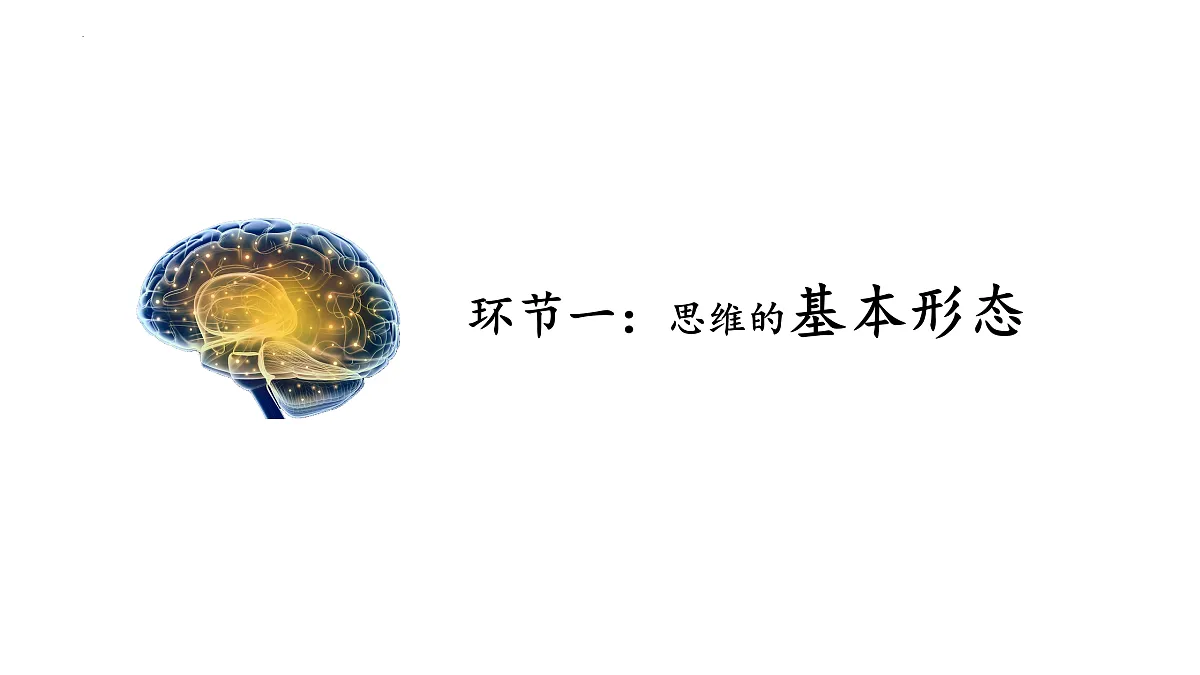 17409471第3页