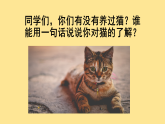 部编版小学语文四年级下册《猫》课件