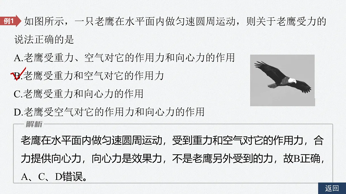 17410566第8页