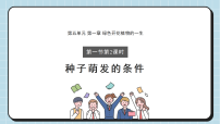 初中生物冀少版（2024）八年级上册（2024）二、种子萌发的条件教学课件ppt