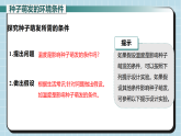 5.1.1第2课时种子萌发的条件（教学课件）初中生物冀少版（2024）八年级上册