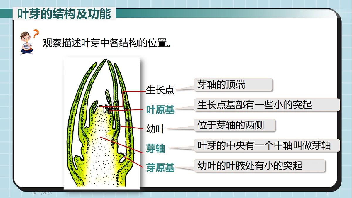 17410634第6页