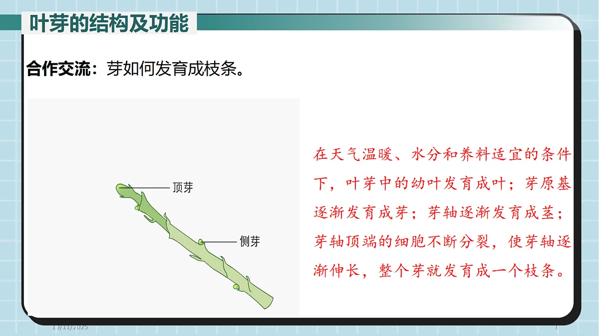 17410634第8页