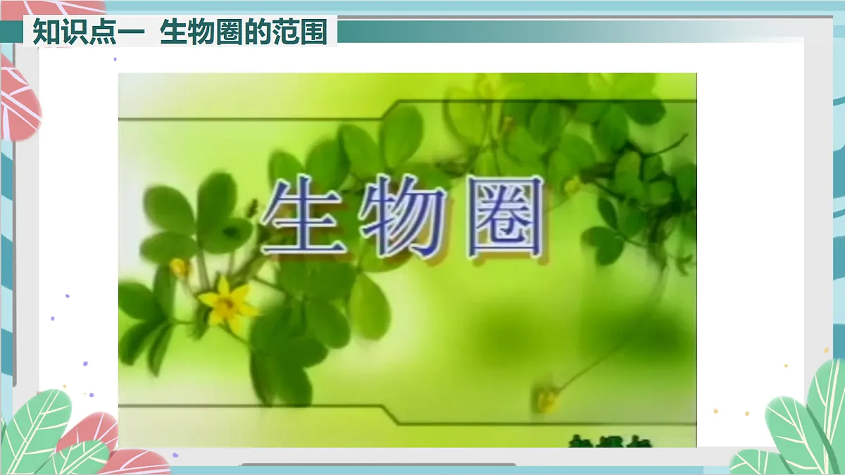 17410641第4页