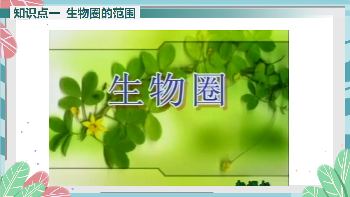 17410641第4页