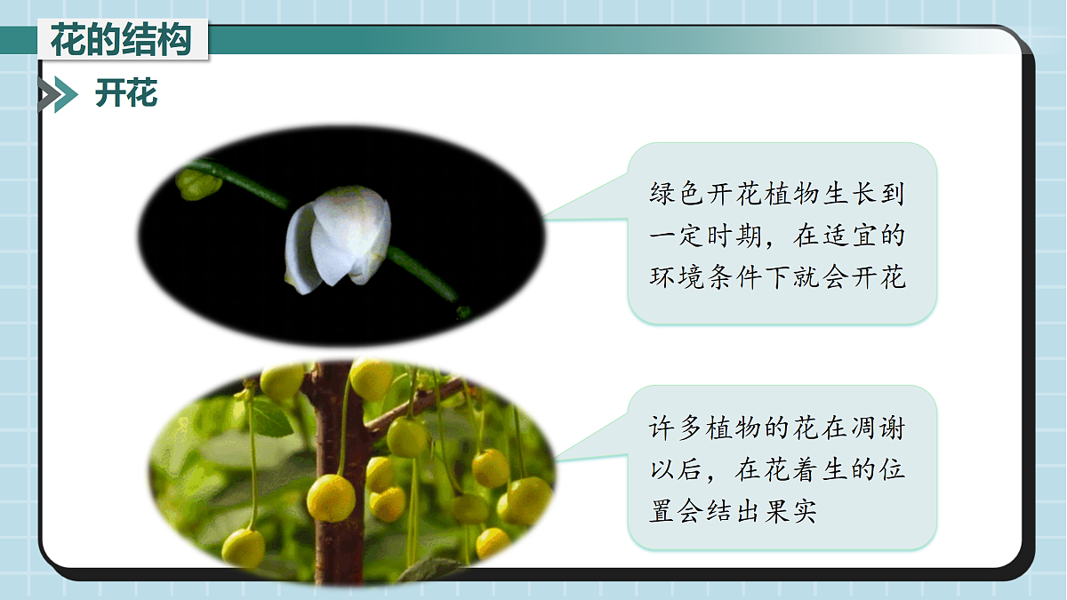 17410642第4页