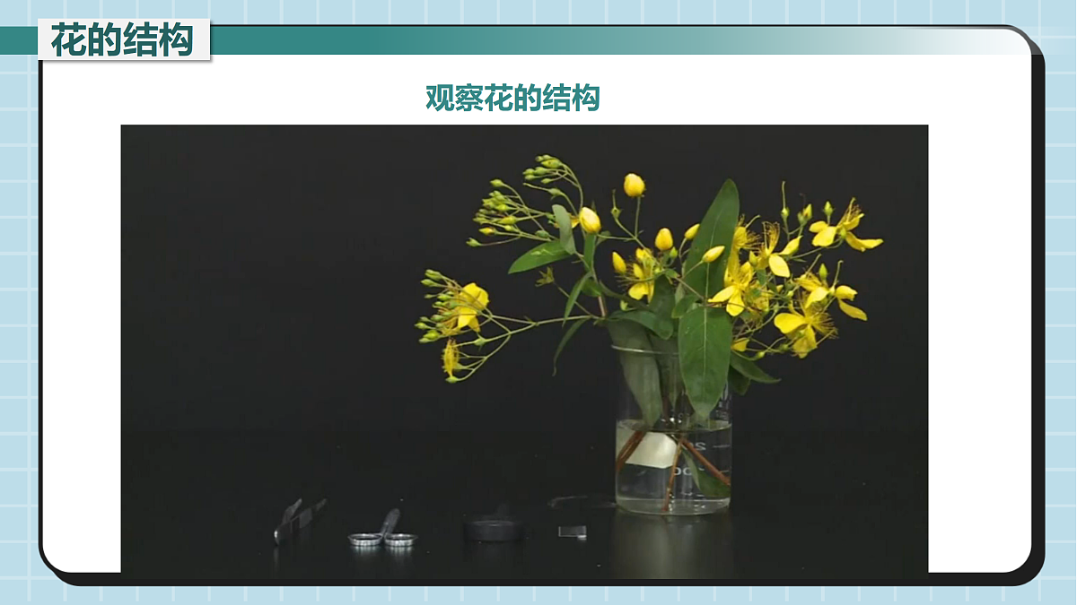 17410642第7页