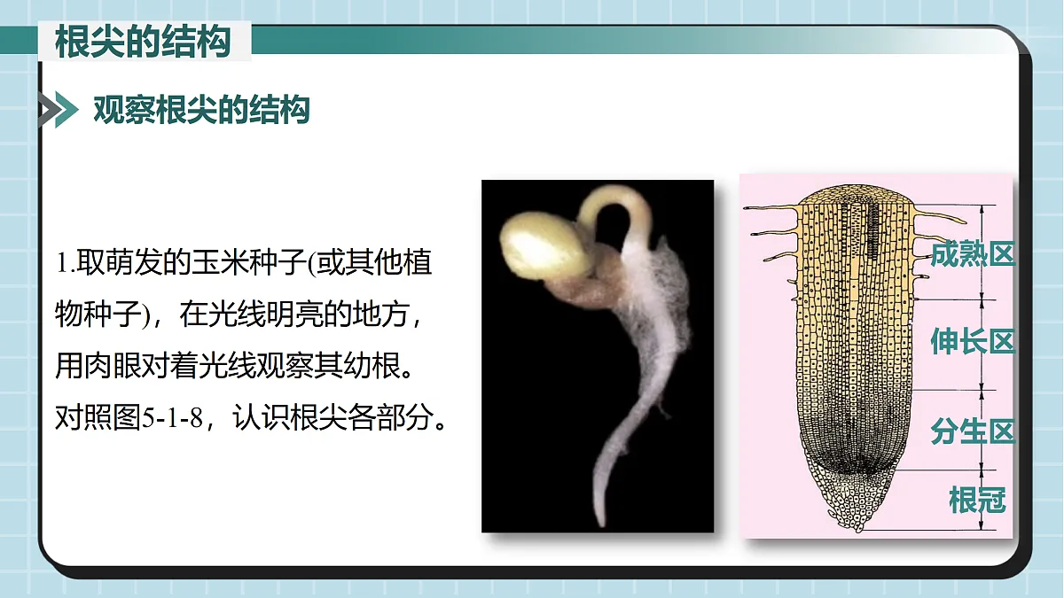 17410646第4页