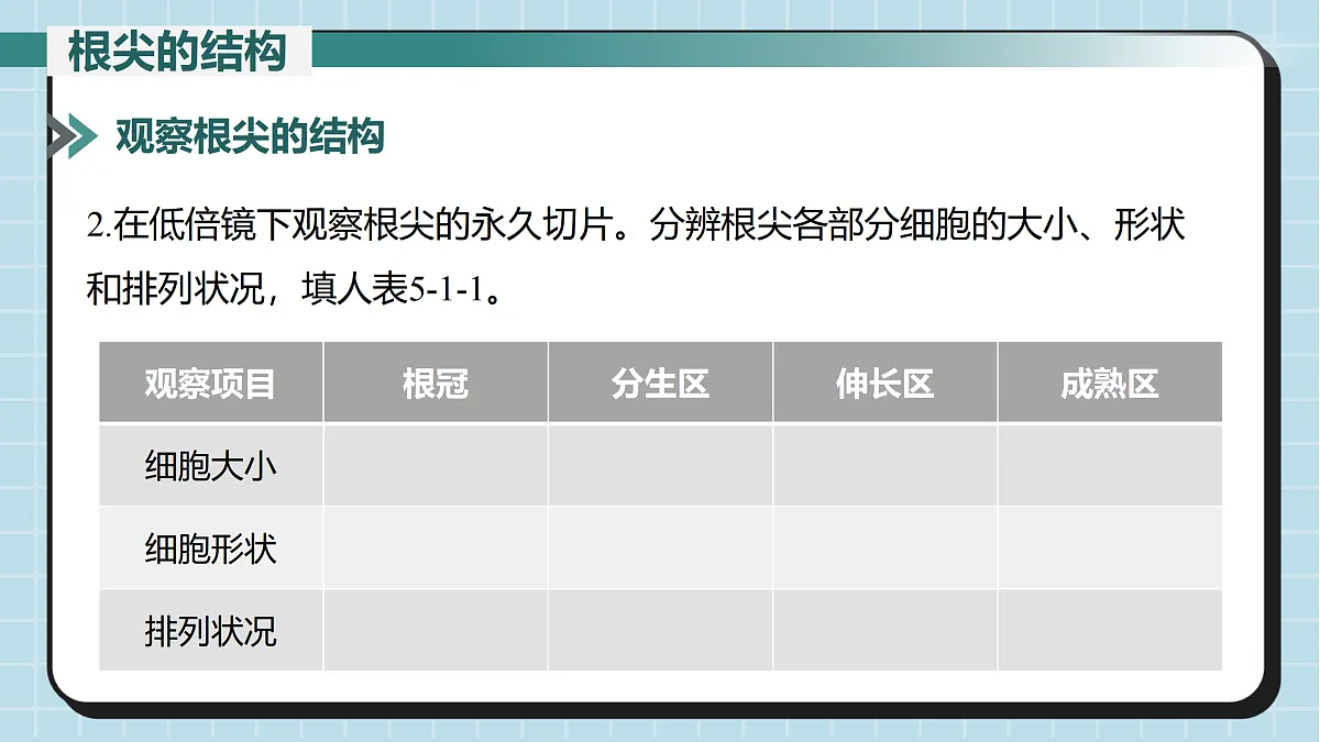 17410646第5页