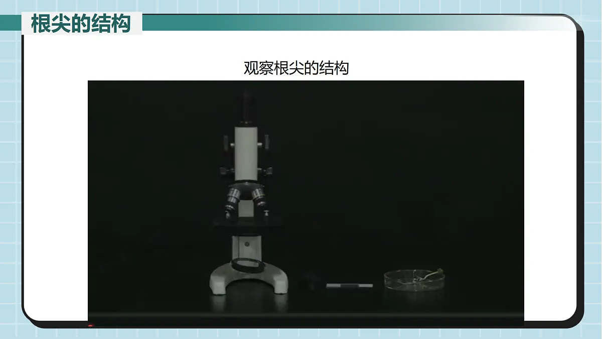 17410646第8页
