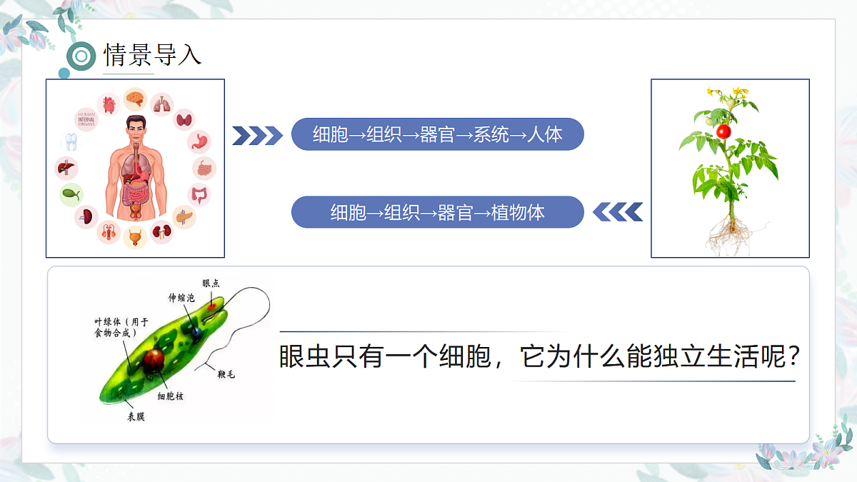 17410647第3页