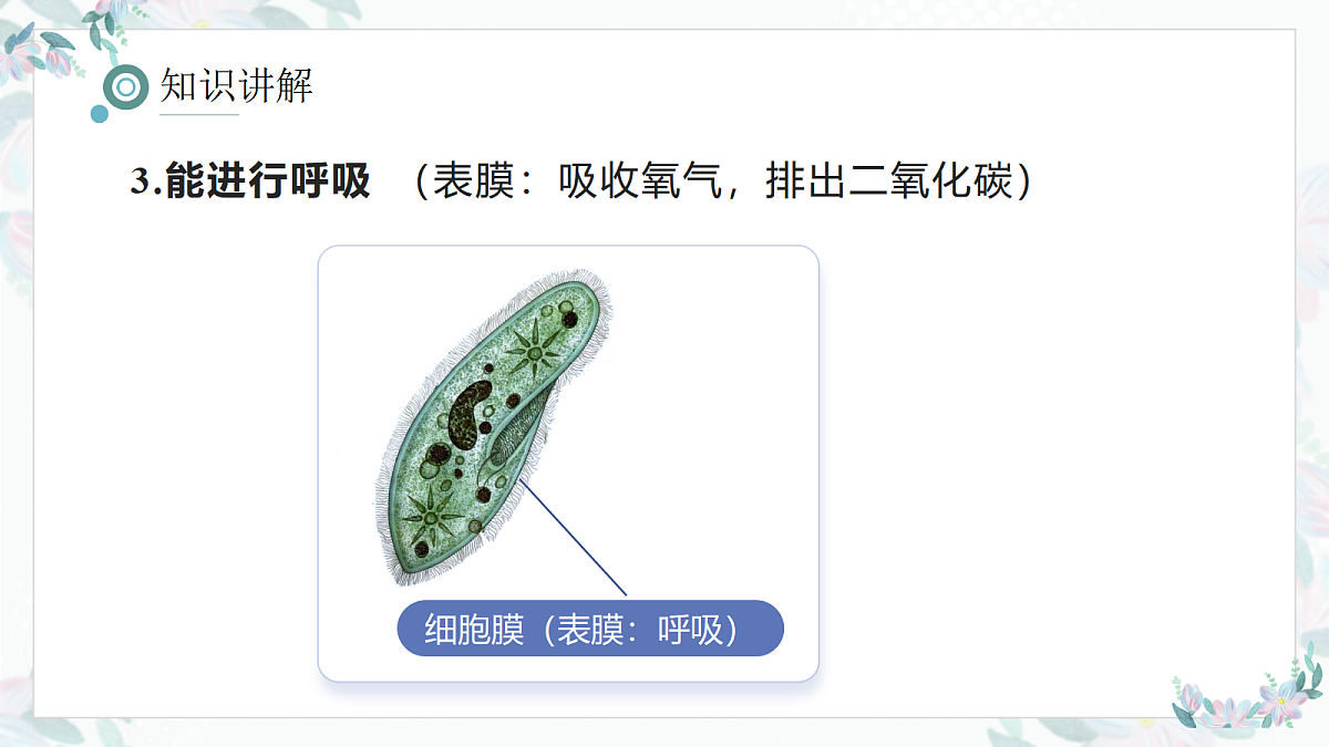 17410647第8页