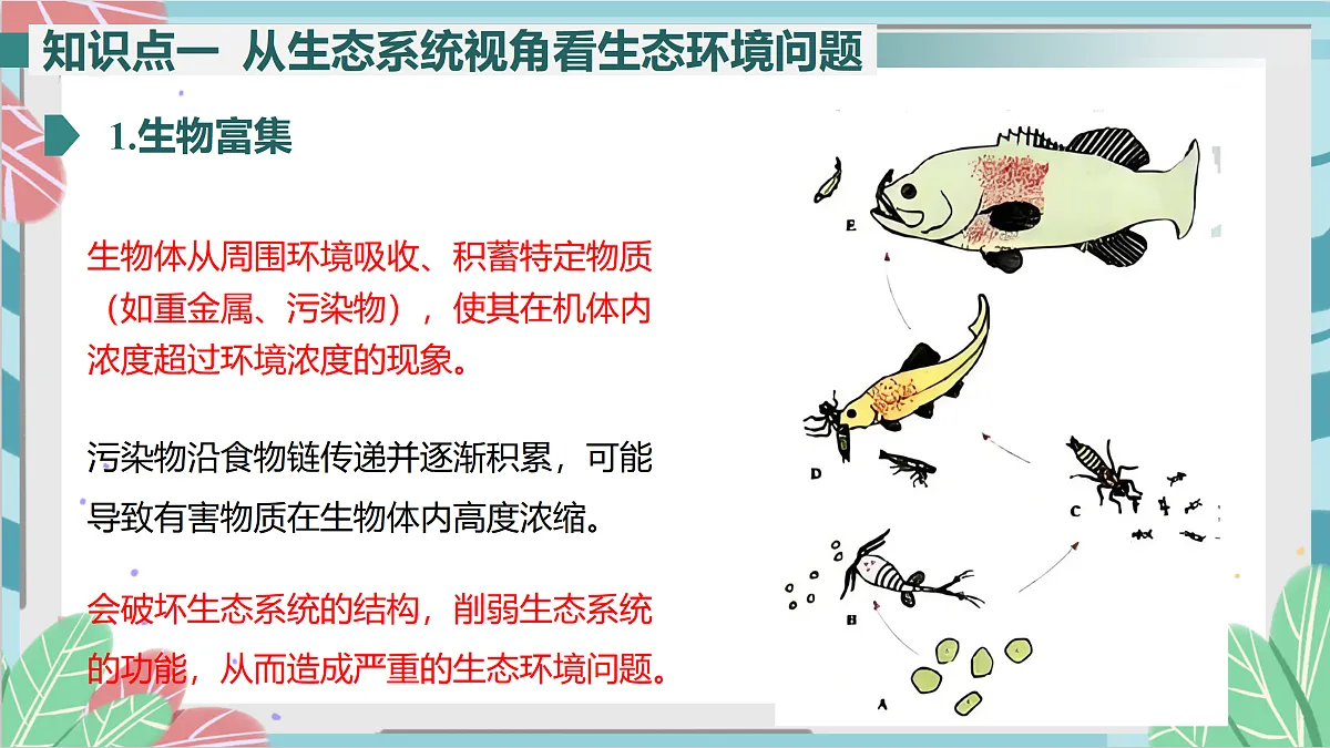 17410652第5页