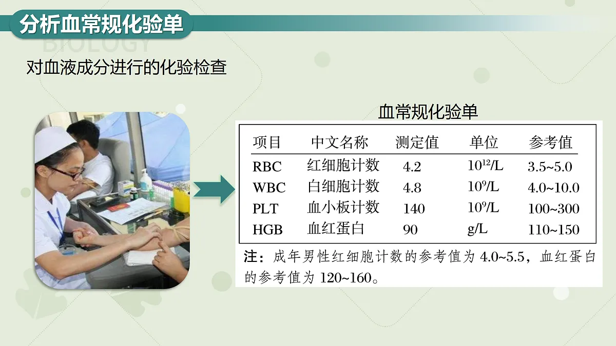 17410653第4页
