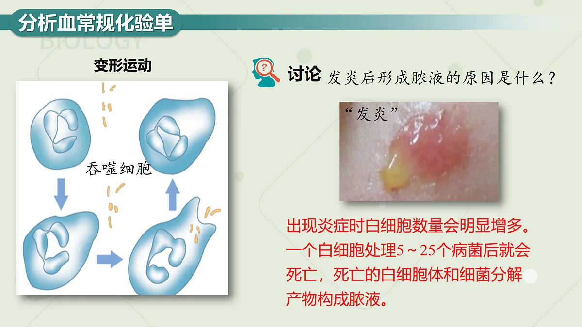 17410653第5页