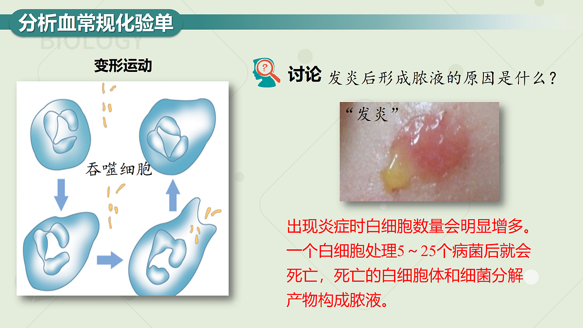 17410653第5页