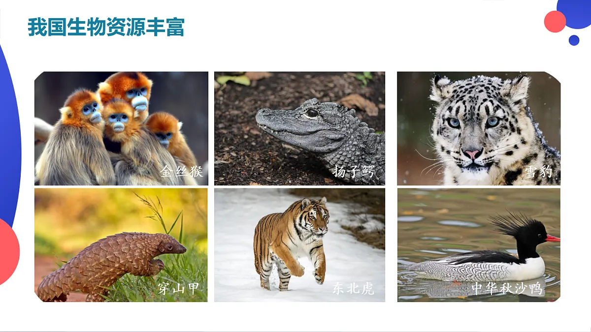 17410654第6页