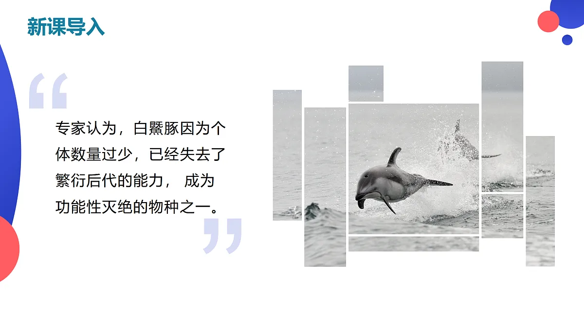 17410661第2页