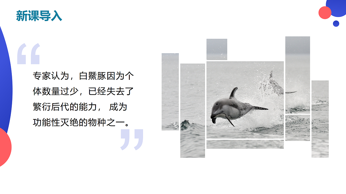 17410661第2页