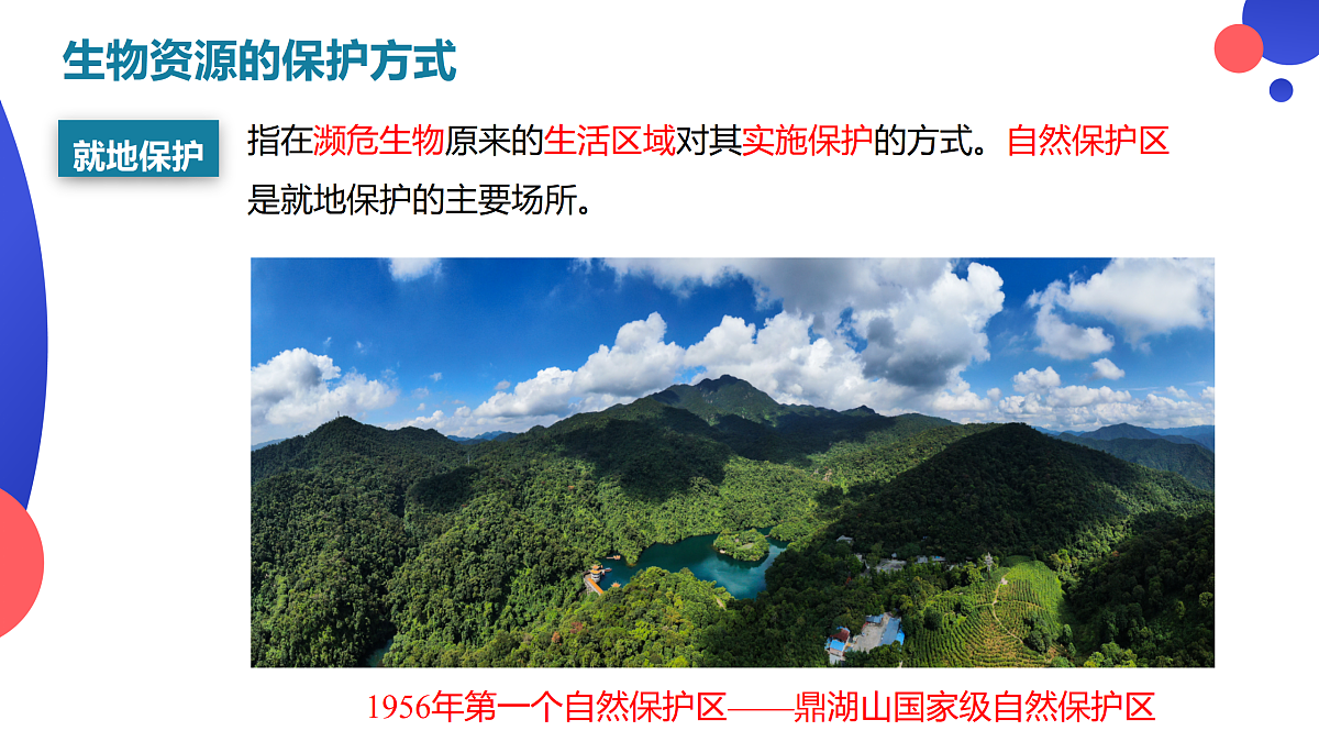 17410661第6页