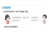 小学科学新教科版三年级上册第二单元第一课 水到哪里去了作业课件（含答案）（2025秋）