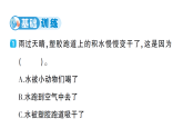 小学科学新教科版三年级上册第二单元第一课 水到哪里去了作业课件（含答案）（2025秋）