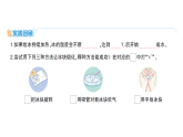 小学科学新教科版三年级上册第二单元第五课 冰熔化了作业课件（含答案）（2025秋）