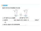 小学科学新教科版三年级上册第二单元第六课 水能溶解多少物质作业课件（含答案）（2025秋）