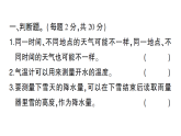 小学科学新教科版三年级上册期中学业质量监测作业课件（含答案）（2025秋）