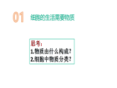 人教版生物七年级上册1.2.4《细胞的生活》-教学课件