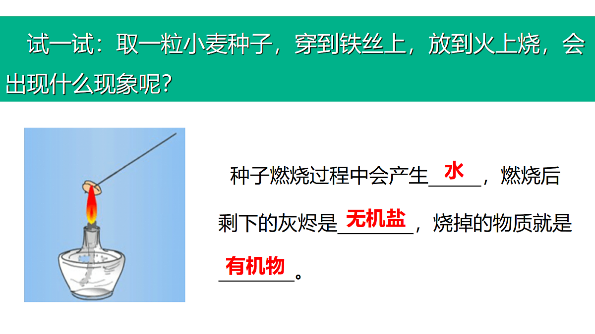 17410958第8页