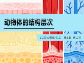 人教版生物七年级上册1.3.2《动物体的结构层次》-教学课件