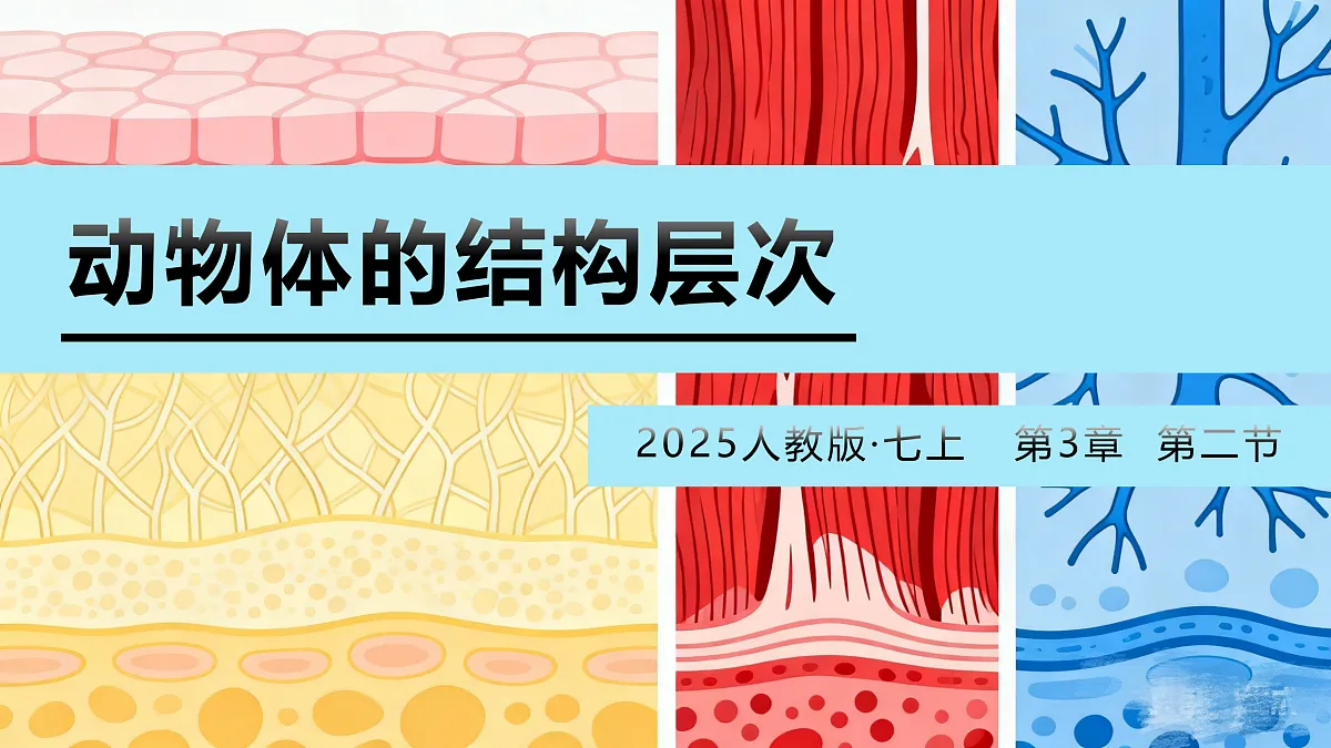 17410959第1页