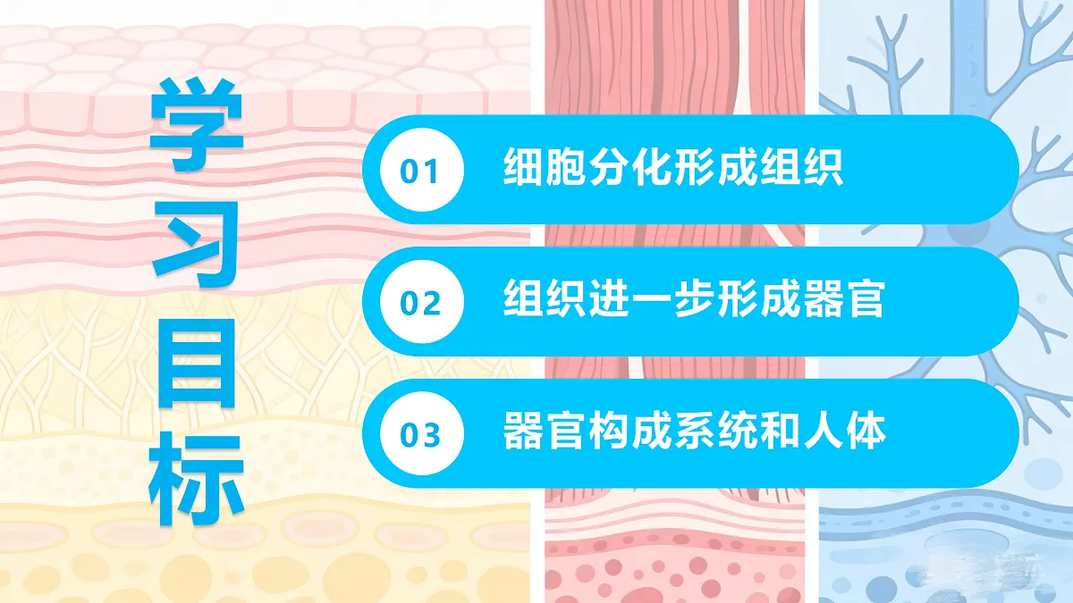 17410959第2页
