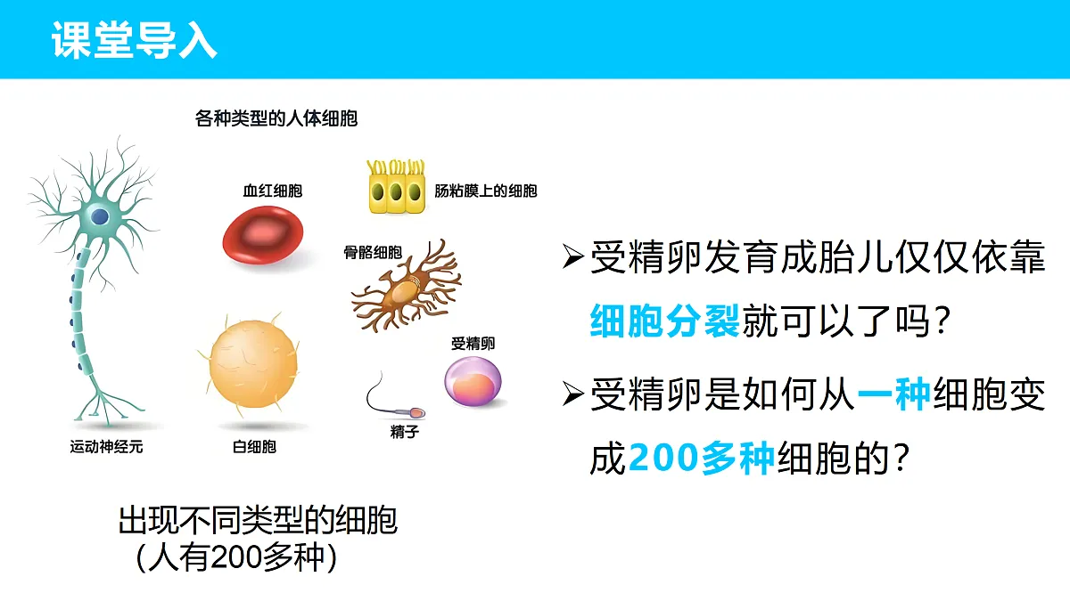 17410959第4页