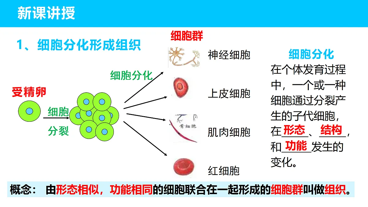 17410959第5页