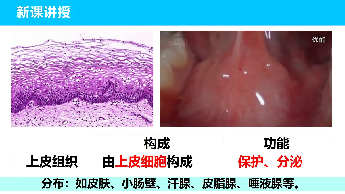 17410959第8页