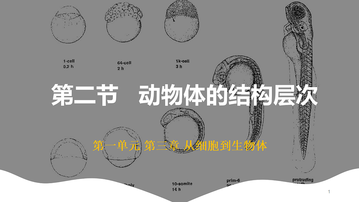 17410960第1页
