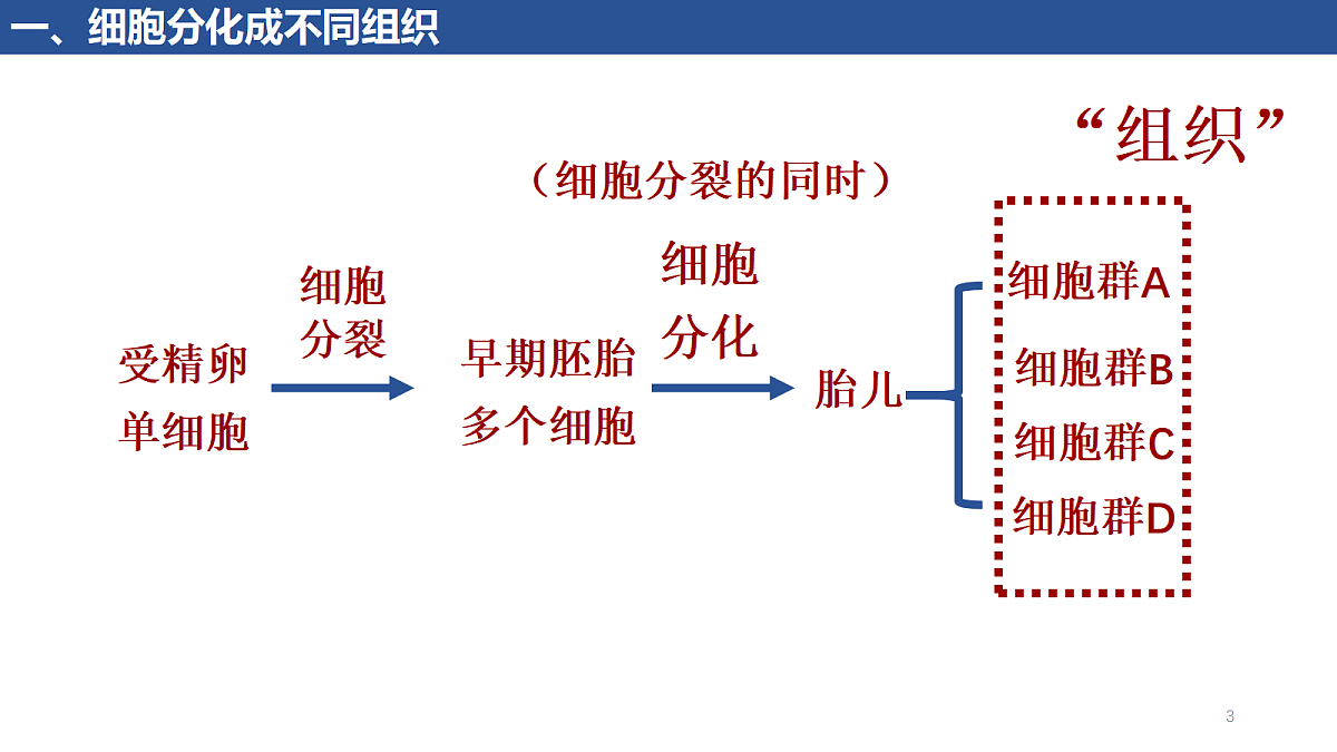 17410960第3页