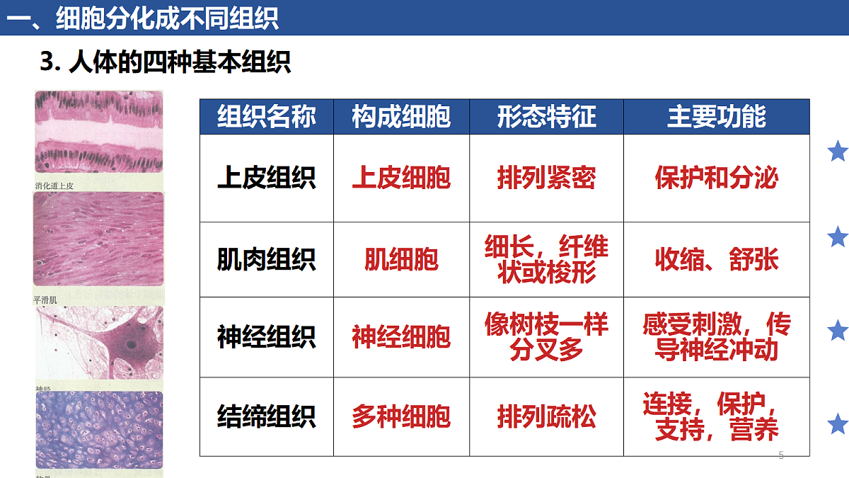 17410960第5页