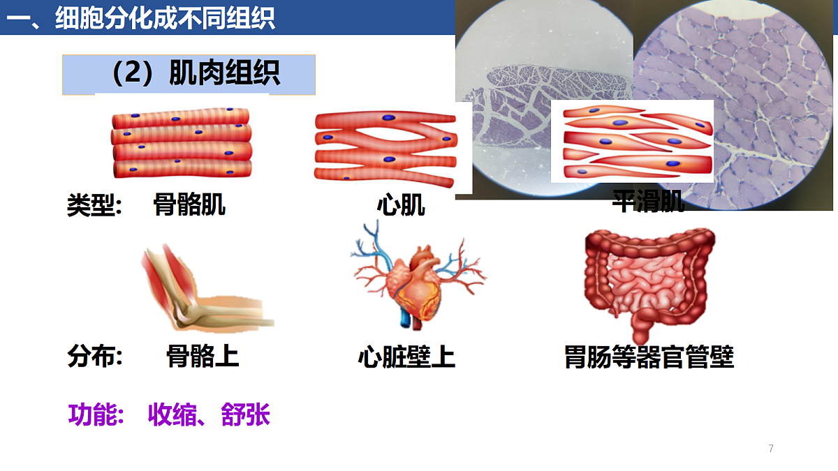 17410960第7页