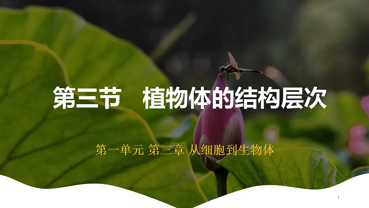 17410961第1页