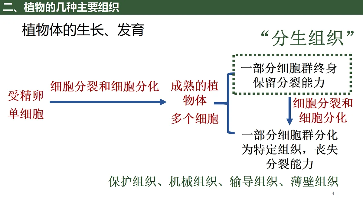 17410961第4页