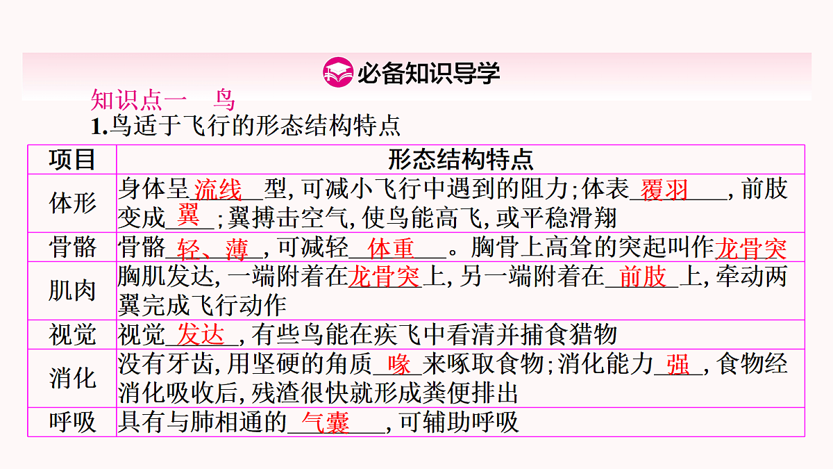 17410962第3页
