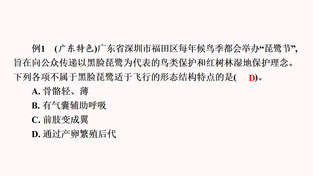 17410962第5页